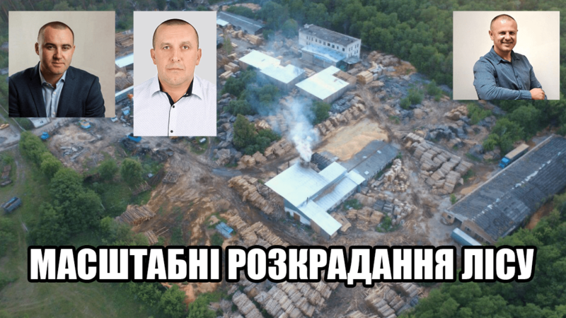 Депутати «слуг» та ОПЗЖ Романько, Слюсар та Гузей крадуть ліс на Сумщині