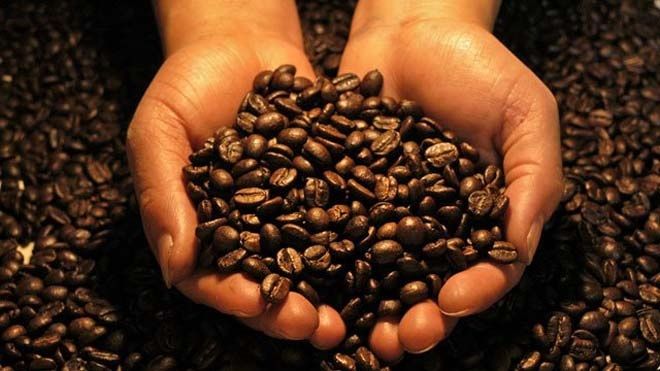 Зерновой кофе: насладитесь истинным вкусом и ароматом