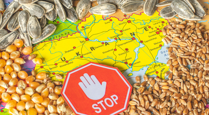 Если запрет на экспорт зерна будет продлен, то Украина готова подать иски в ВТО
