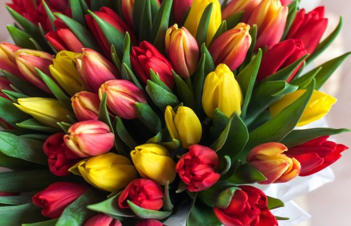 Весенние Букеты к 8 Марта: Почему Цветы — Лучший Подарок