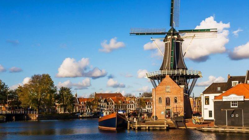 Иммиграция в Нидерланды: особенности, преимущества, помощь и сопровождение от компании Hodak