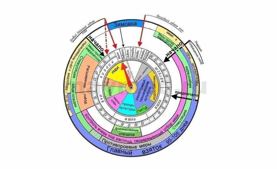 Календар бджоляра на 2026 рік: основні роботи по місяцях для України