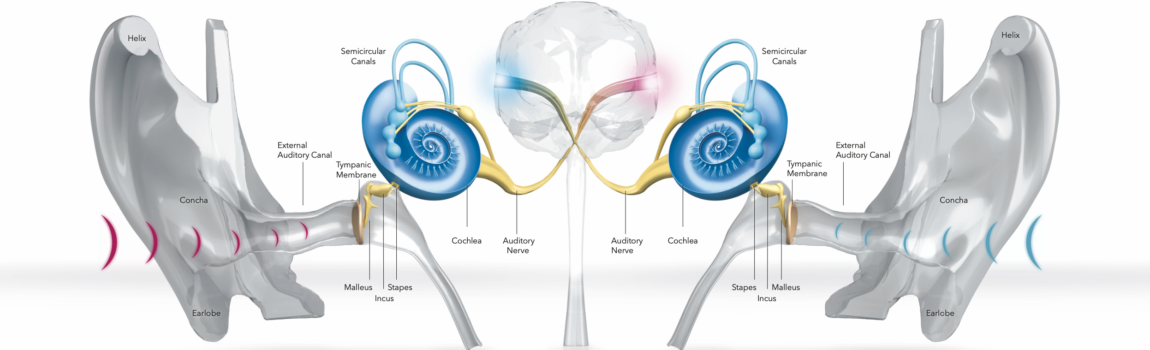 Инновации в действии: как слуховые аппараты нового поколения возвращают мир звуков