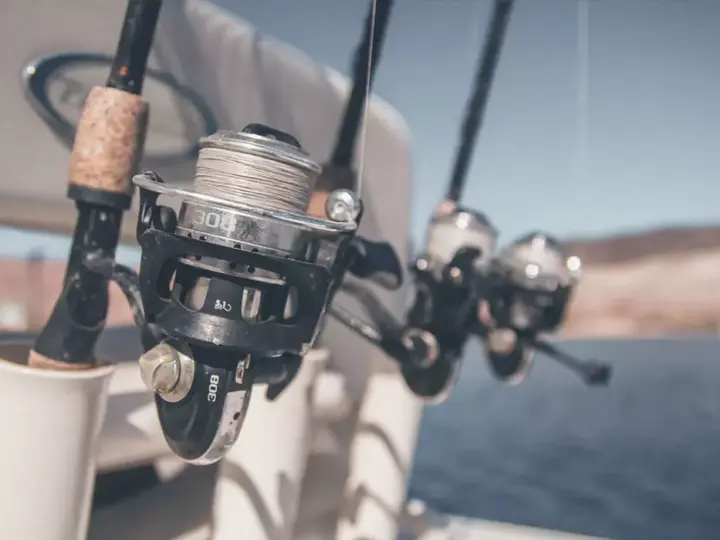 Риболовні котушки 2026: як вибрати ідеальний механізм для трофейного улову на Blesna.in.ua